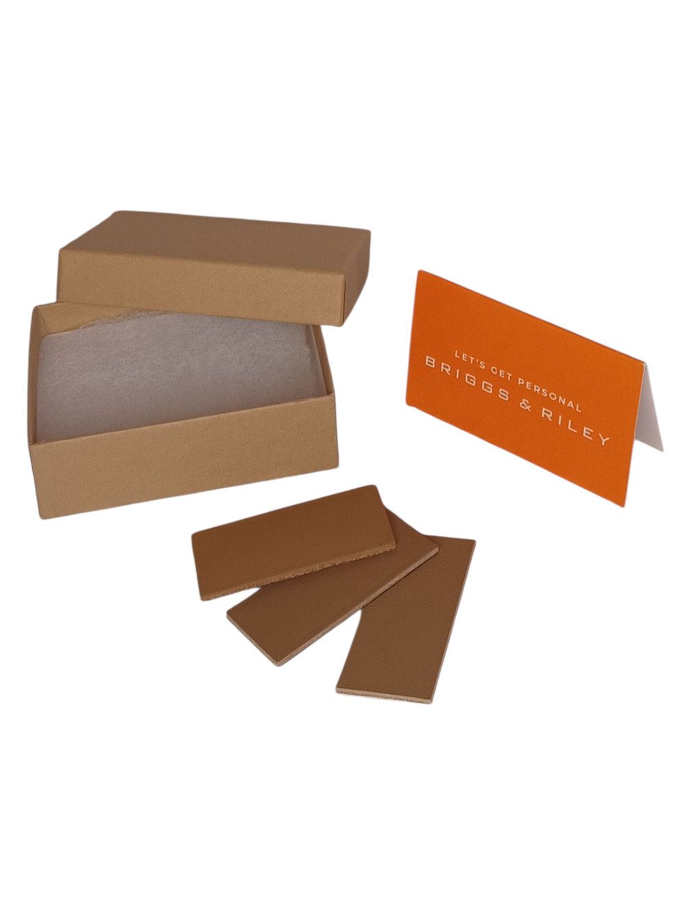 Briggs & Riley Personalized Blank Luggage Cards